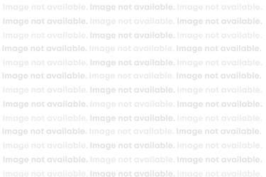 Image Not Available Widgety 18P 2026 version.jpg